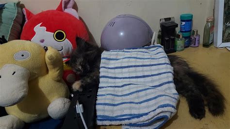 sarap pagjakolan|sarap pagjakolan neto : r/PinayKilikili .